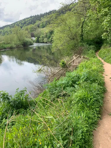 10-best-walking-trails-in-ross-on-wye-alltrails
