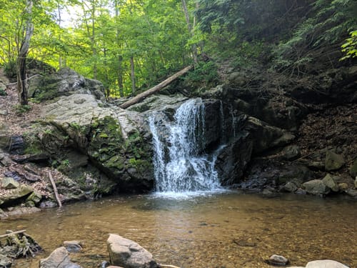 Patapsco State Park Hiking Best 10 Trails In Patapsco Valley State Park | Alltrails