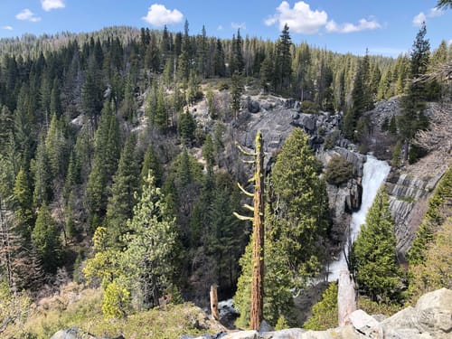 Photos of Alder Creek Loop California AllTrails