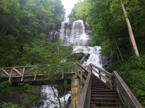 Amicalola Falls Hiking Trails Best 10 Trails In Amicalola Falls State Park | Alltrails