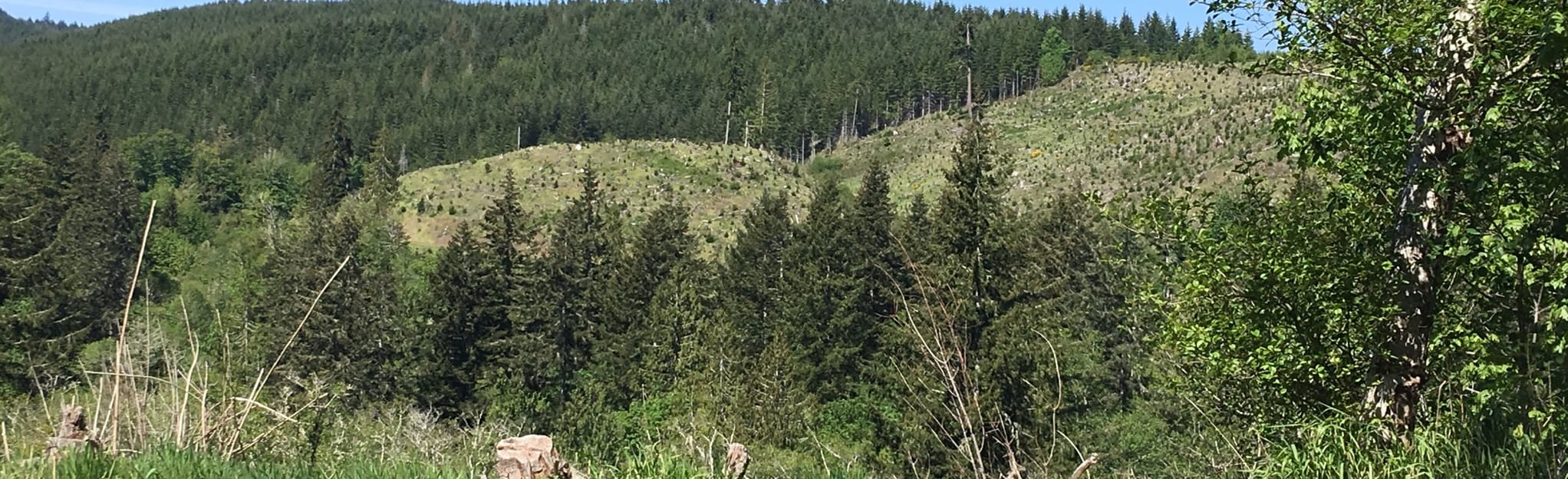 Old Olympic Highway A Forgotten Era of American Travel