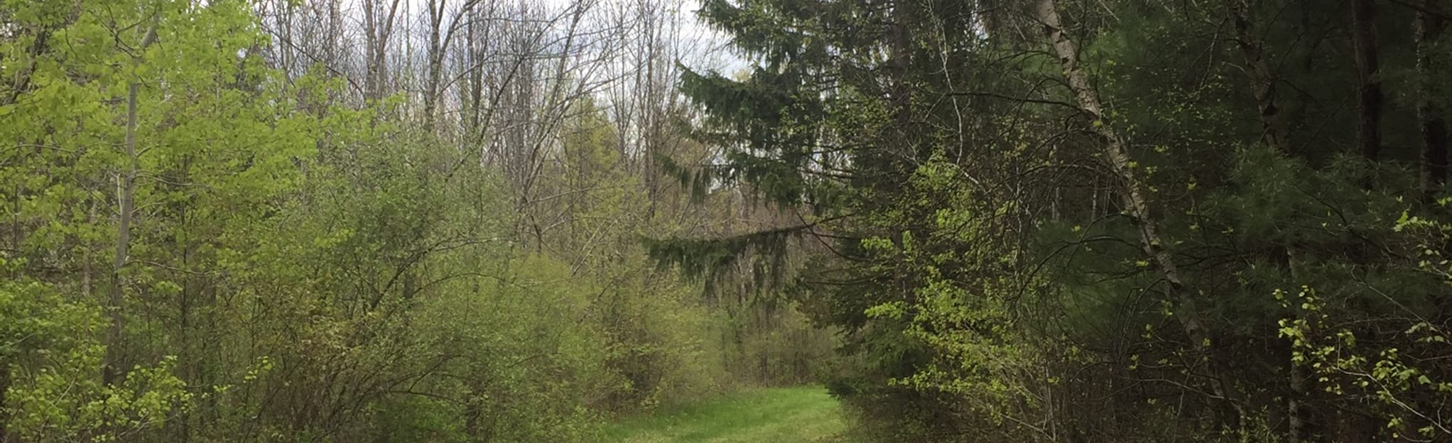 Lake Taghkanic State Park Fitness Trail, New York 13 Reviews, Map