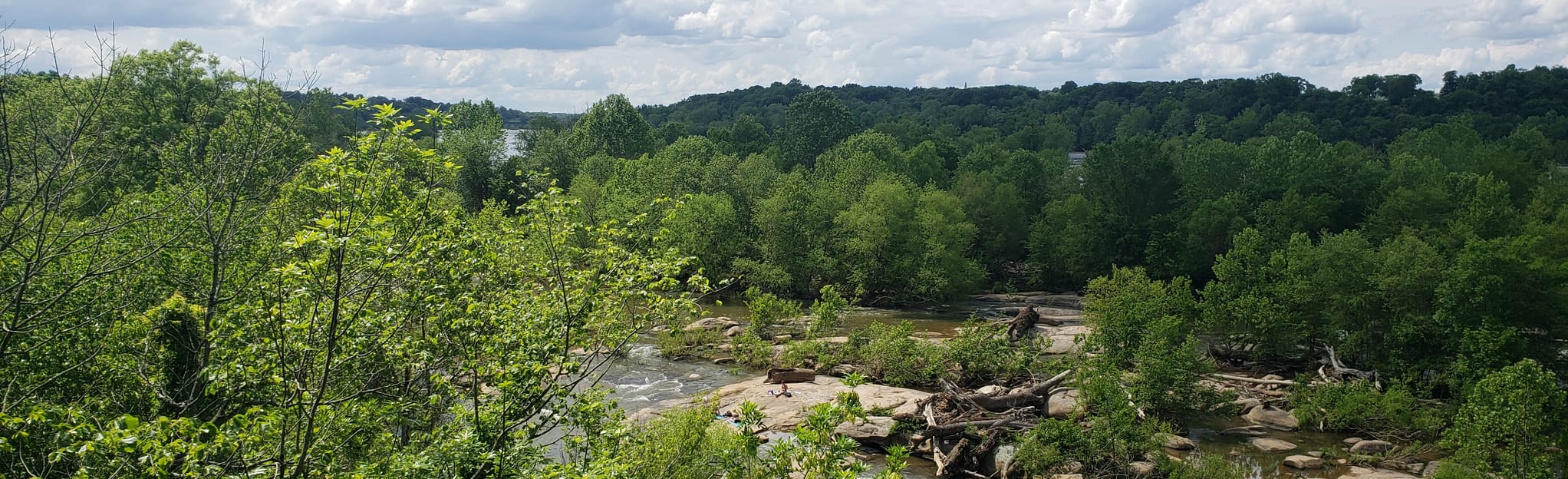 Buttermilk Trail 990 Reviews, Map Virginia AllTrails