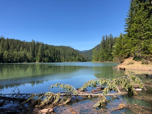 2023 Best 10 Trails and Hikes in Oakridge | AllTrails