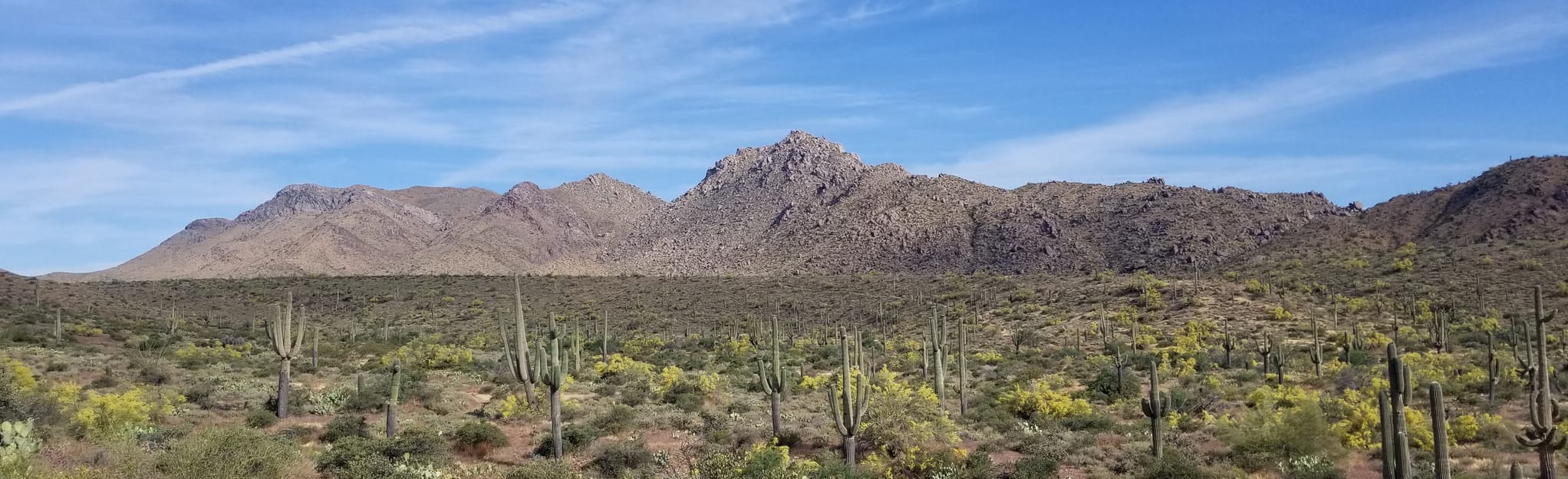 Thompson Peak Road to Dixie Mine and Coachwhip Trail 162 fotos
