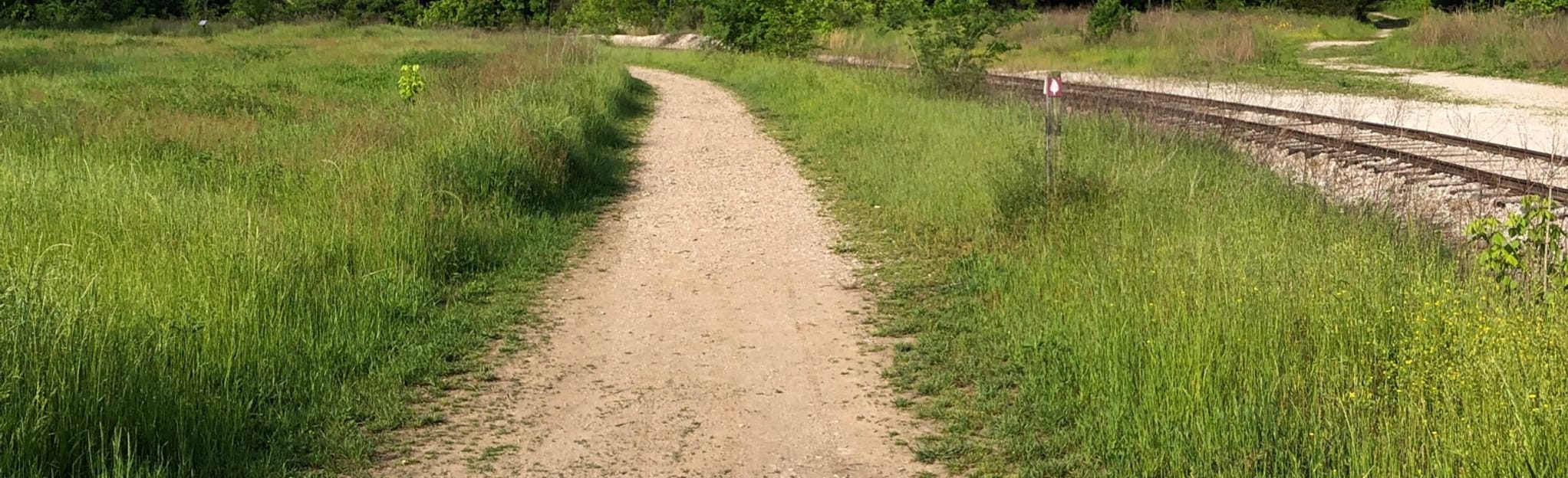 Rock Bridge Trail via Imerys Trail Tennessee AllTrails