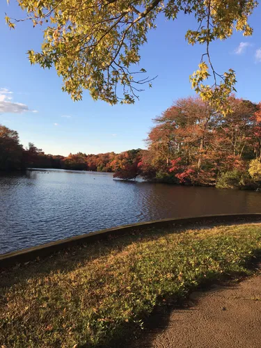 Belmont Lake State Park Horseback Riding