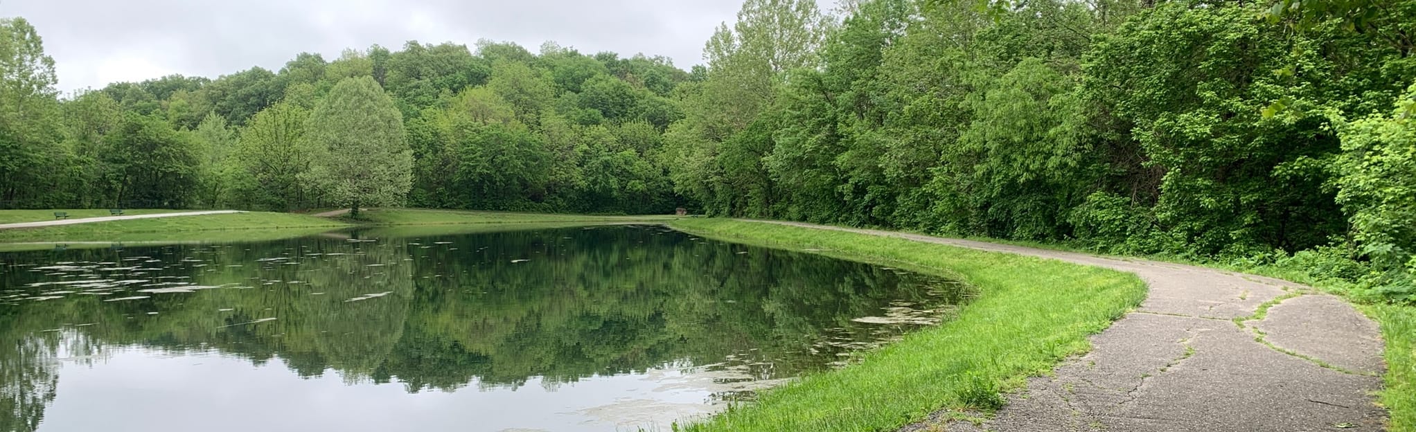 Williams Creek Pond Loop Map, Guide Missouri AllTrails