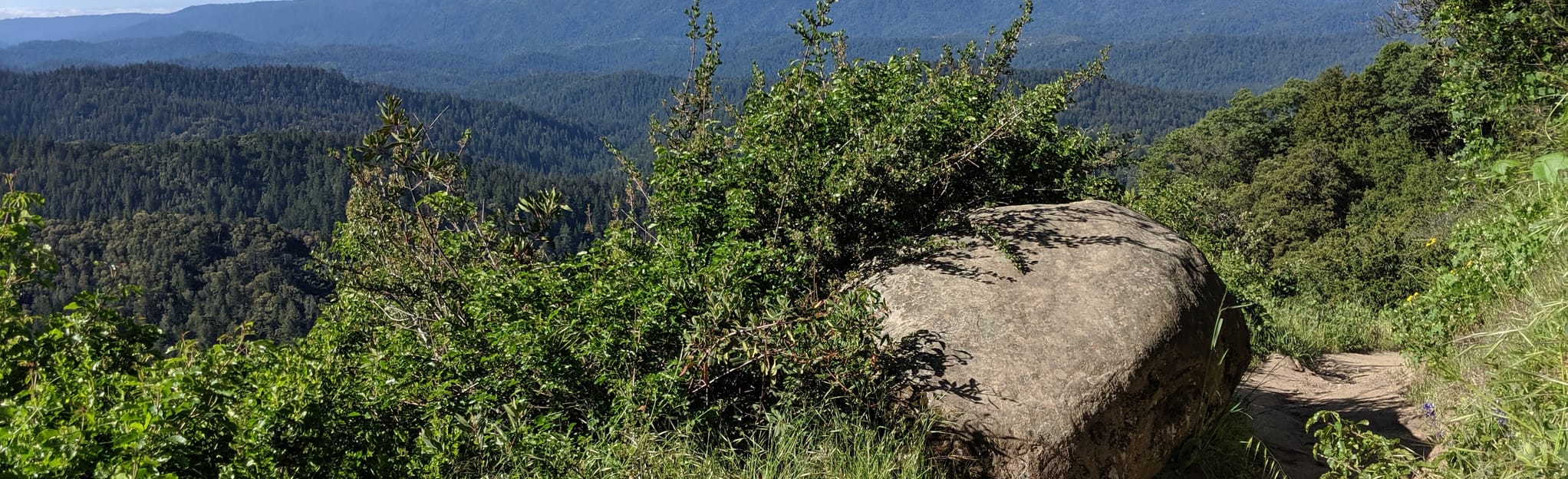 Castle Rocks Lower Loop [CLOSED] Map, Guide California AllTrails