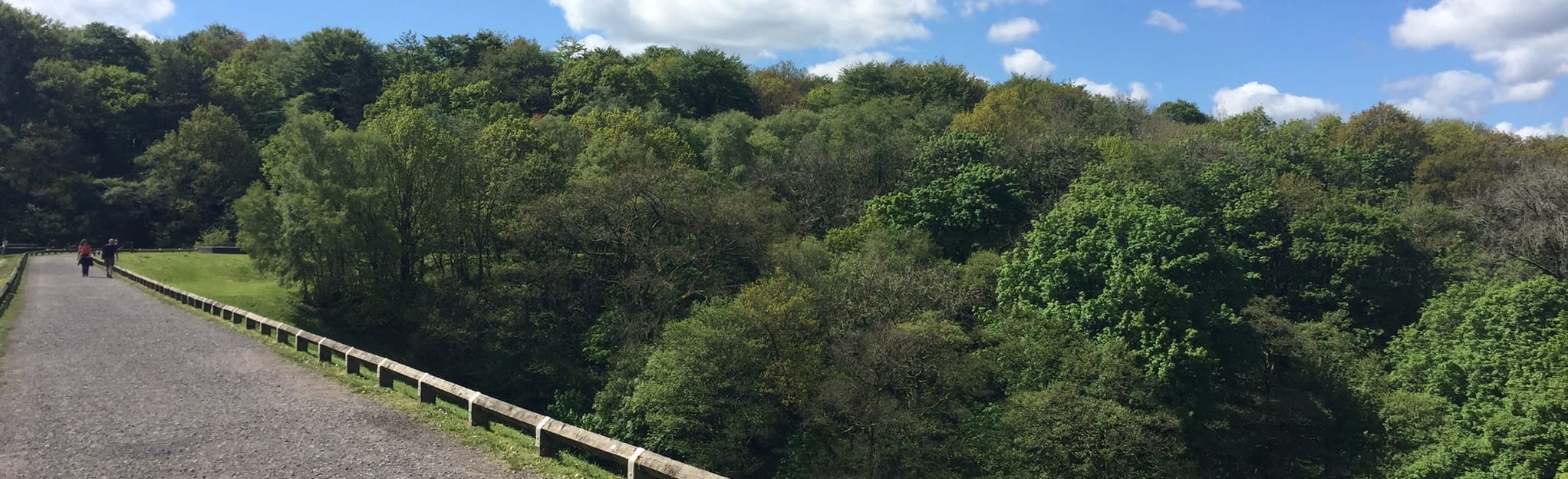 Rake Brook Reservoir to Darwen Tower, Lancashire, England 183 Reviews