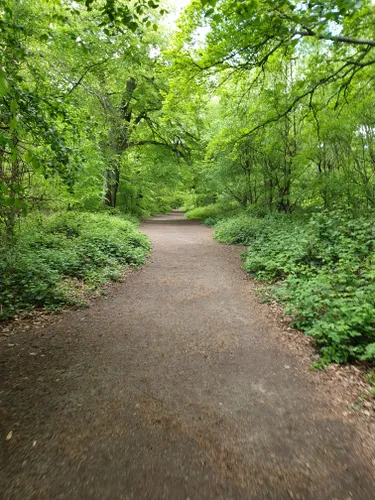 Best Hikes and Trails in Banstead Wood | AllTrails