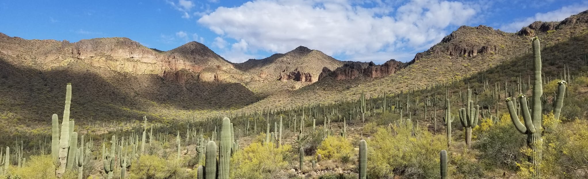 Pass Mountain and Bulldog Saddle Map, Guide Arizona AllTrails