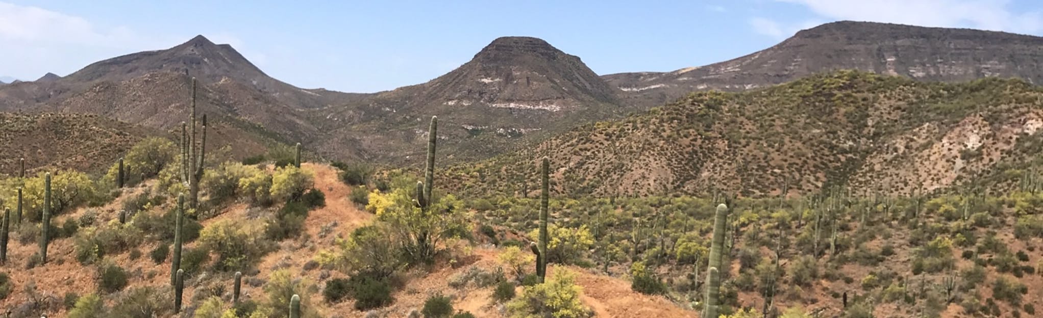 Cottonwood Trail, Arizona 32 Reviews, Map AllTrails