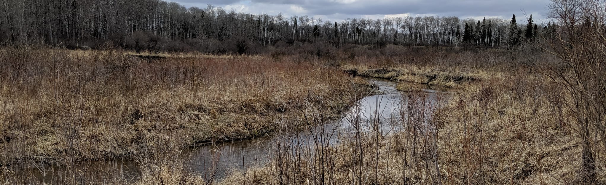 Vermillion River Campground via Strathclair Trail 6 Reviews, Map