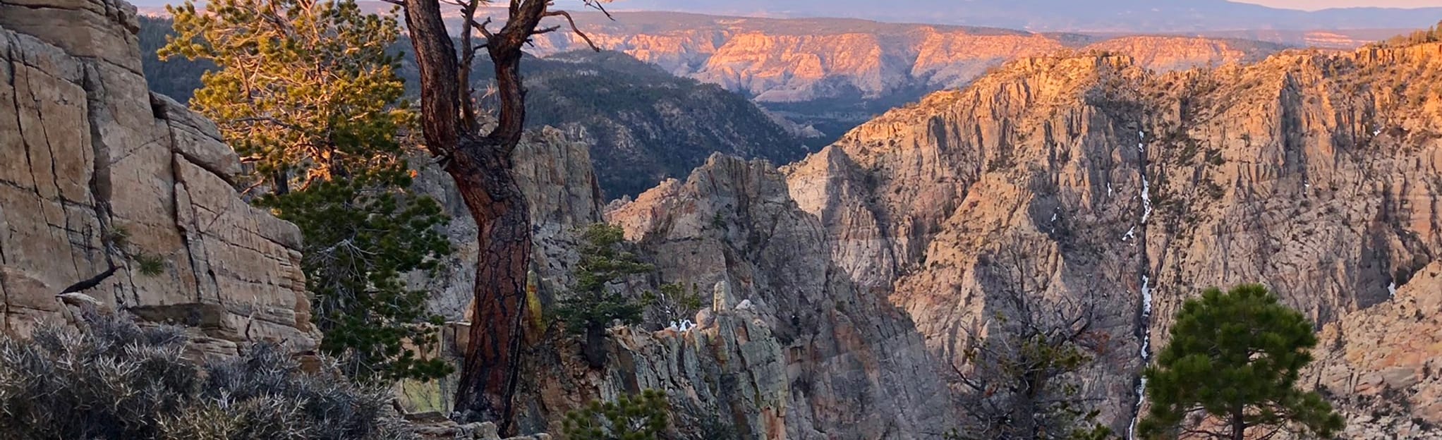 Hells Backbone OHV Trail, Utah - 71 Reviews, Map | AllTrails