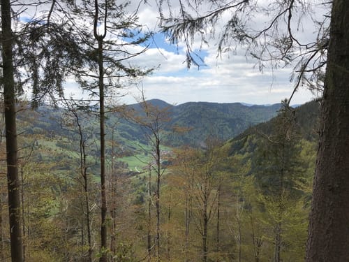Todtmooser Lebküchlerweg (Genießerpfad)