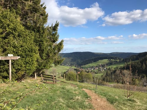 Todtmooser Lebküchlerweg (Genießerpfad)