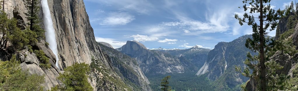 are dogs allowed in yosemite falls trail