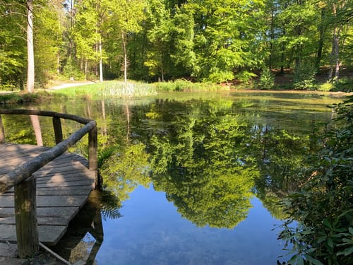 Springendal Rondwandeling