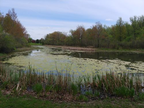 are dogs allowed at birdsong nature trails orchard park