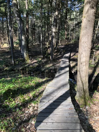 Best Views Trails In Simcoe County Forests Alltrails