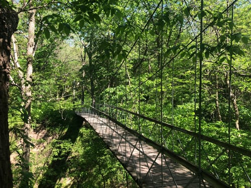 Best hikes and trails in Schramm Park State Recreation Area 