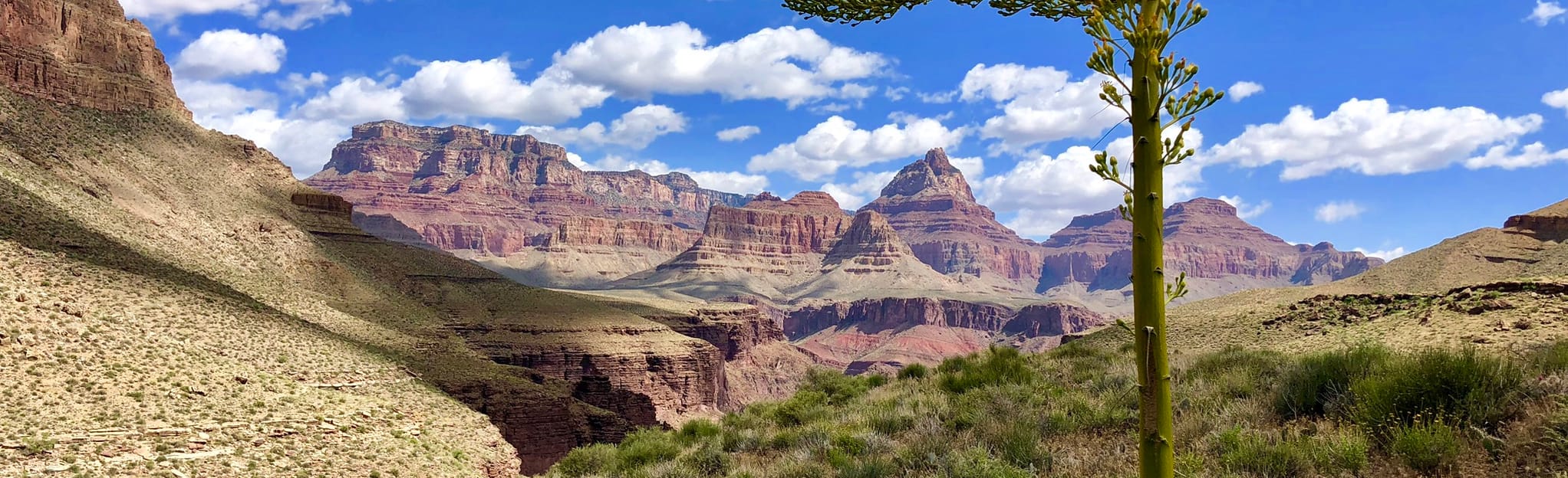 Horseshoe Mesa to Colorado River - EyJidWNrZXQiOiJhc3NldHMuYWxsdHJhaWxzLmNvbSIsImtleSI6InVwbG9hZHMvcGhvdG8vaW1hZ2UvMjI2NzI4MjQvZjRiMGE5ODM5MGUyMTdlMGFmNmMyZTg4MjAzMmVkNDguanBnIiwiZWRpdHMiOnsidG9Gb3JtYXQiOiJqcGVnIiwicmVzaXplIjp7IndpZHRoIjoyMDQ0LCJoZWlnaHQiOjYyNCwiZml0IjoiY292ZXIifSwicm90YXRlIjpudWxsLCJqcGVnIjp7InRyZWxsaXNRdWFudGlzYXRpb24iOnRydWUsIm92ZXJzaG9vdERlcmluZ2luZyI6dHJ1ZSwib3B0aW1pc2VTY2FucyI6dHJ1ZSwicXVhbnRpc2F0aW9uVGFibGUiOjN9fX0=