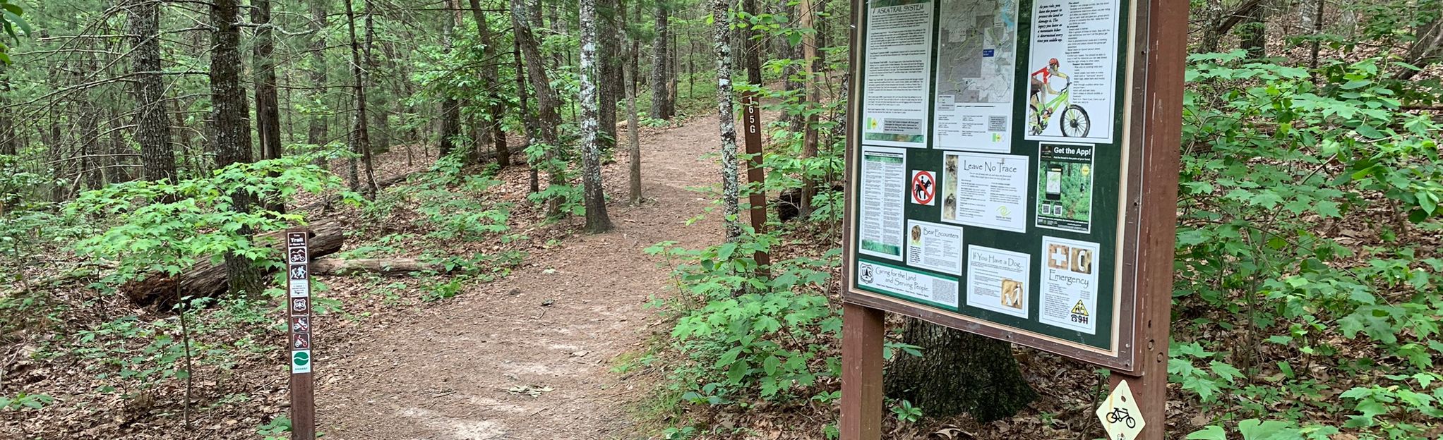 Hickey Knob Trail, Georgia - 32 Reviews, Map | AllTrails