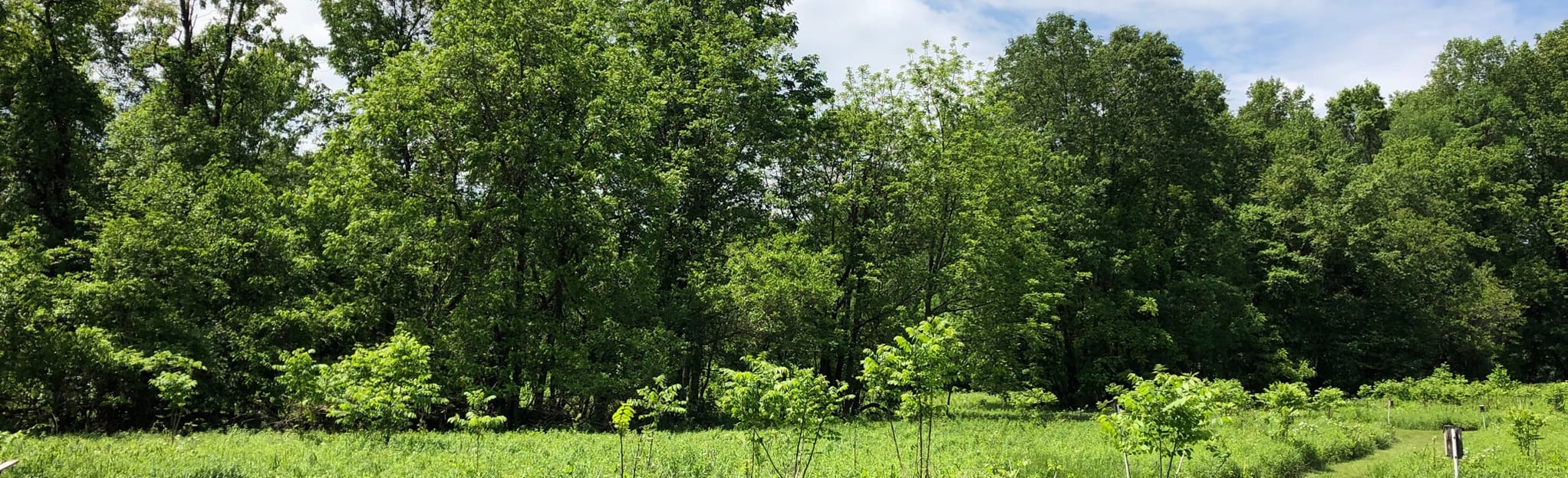 Perkiomen Trail and Audubon Loop Trail, Pennsylvania 597 Reviews, Map AllTrails