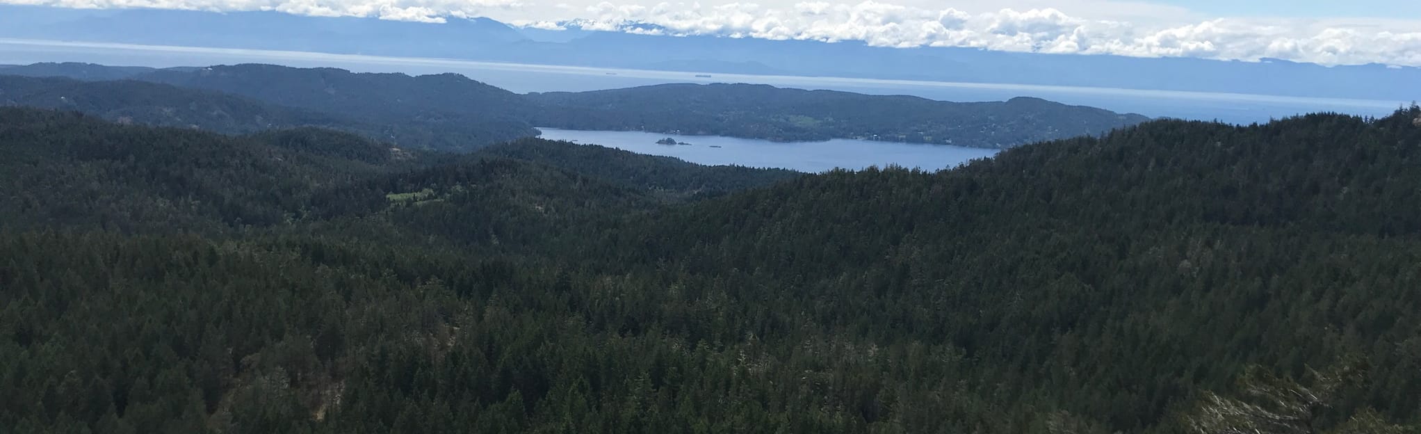 Thunderbird Mountain, British Columbia, Canada 10 Reviews, Map AllTrails