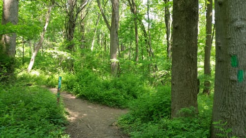 susquehanna state park bike trails