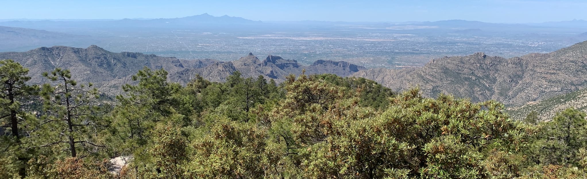 Box Camp Trail to Sabino Canyon, Arizona 36 Reviews, Map AllTrails