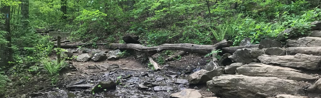 Blood Mountain via Slaughter Creek Trail, Georgia - 505 Reviews, Map |  AllTrails