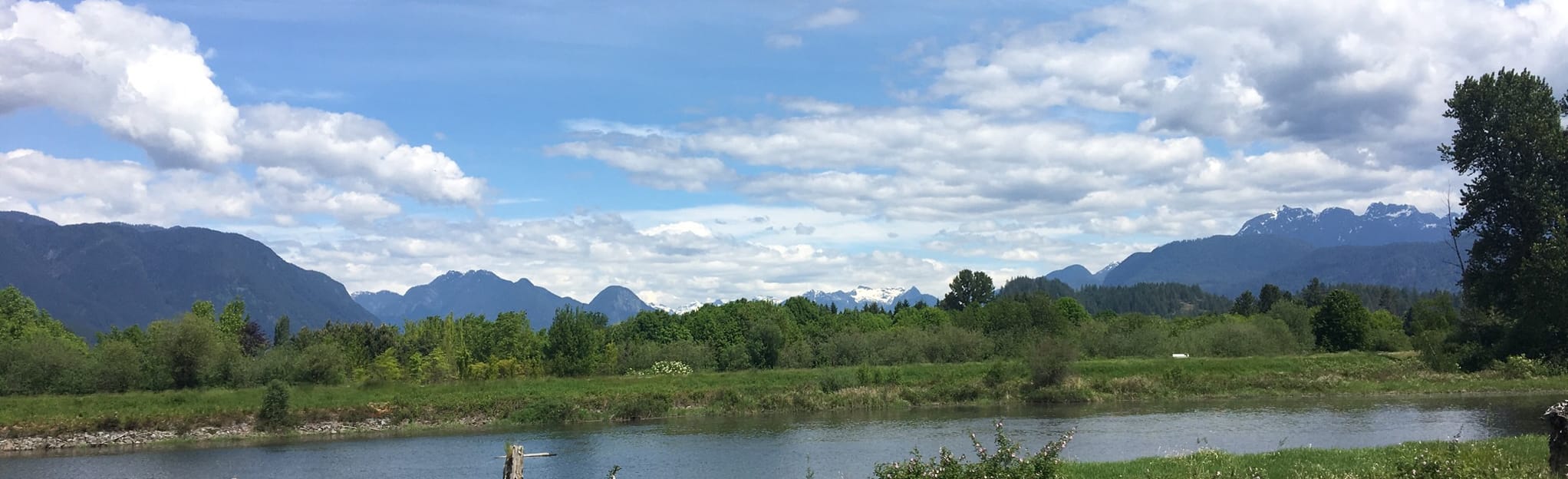 Alouette River Dykes Trail, British Columbia, Canada 285 Reviews, Map