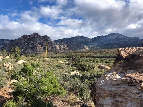 10 Best Hikes and Trails in Red Rock Canyon National Conservation