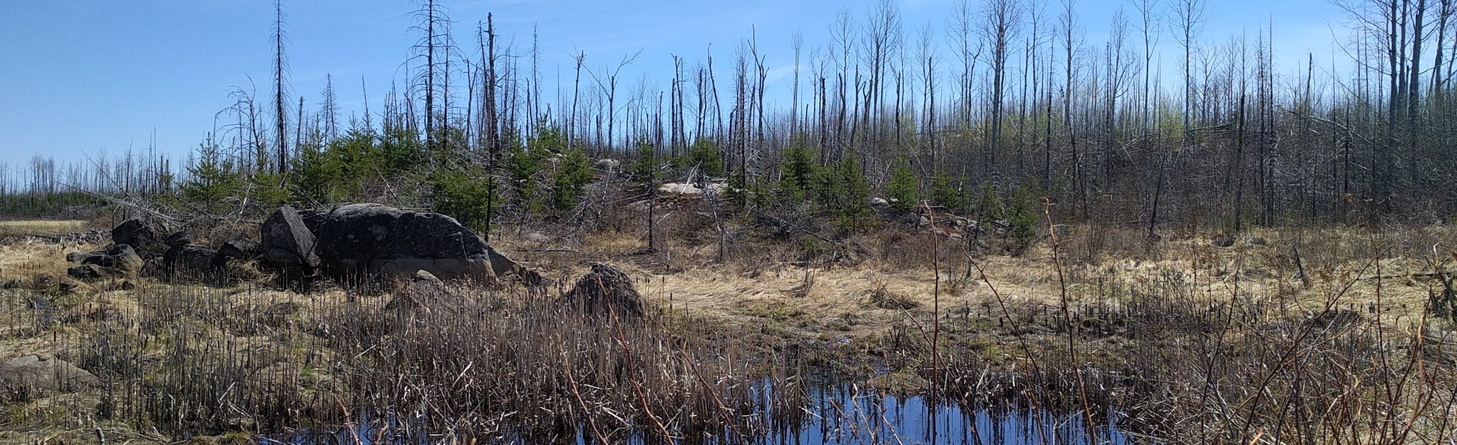 Powwow Trail Pose Lake, Minnesota 11 Reviews, Map AllTrails