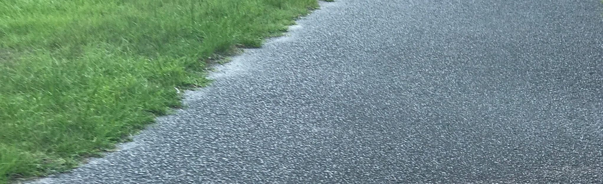 AllTrails Sawmill Branch Bike and Hike Trail 381 Reviews, Map