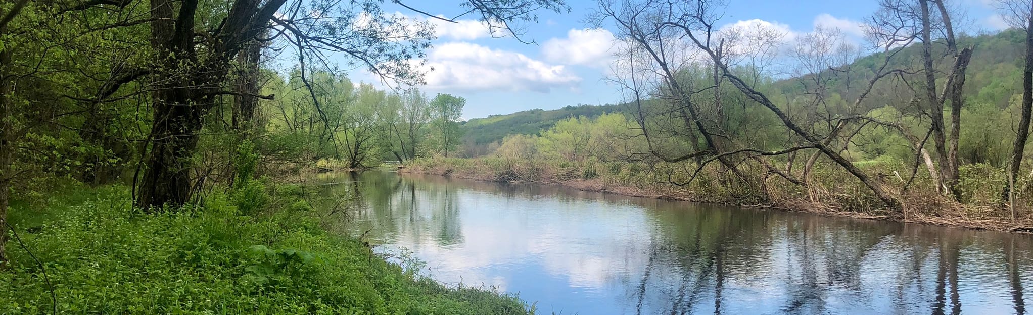 East Shore Trail, Eagle Pass, and Cliff Trail Map, Guide