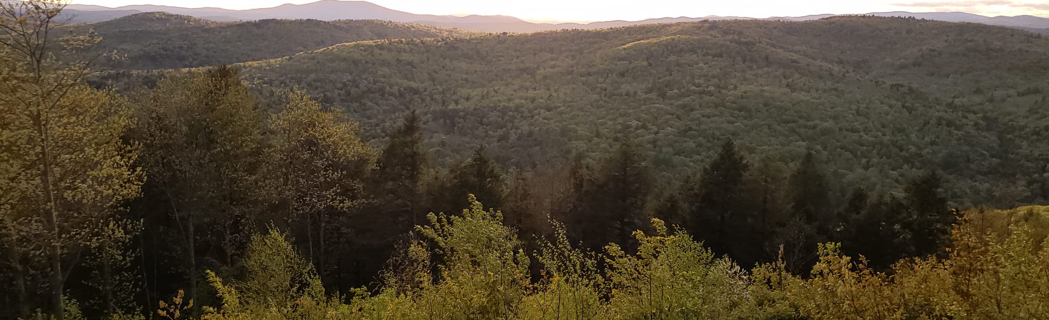 Putney Mountain via Riff Line and Pinnacle Trail 19 Reviews, Map