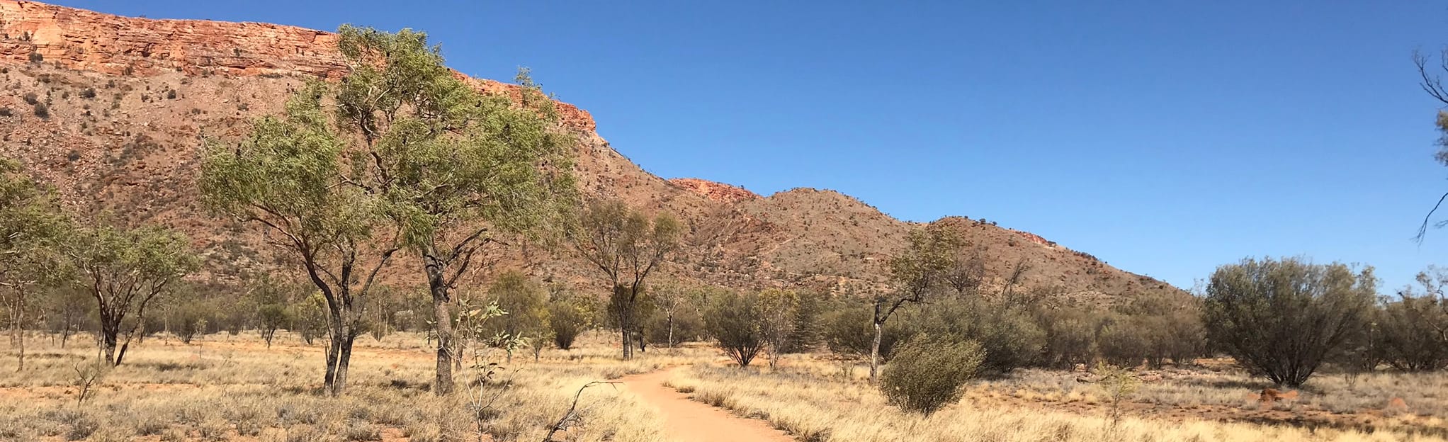 Mount Gillen and the Heavitree Range, Northern Territory, Australia