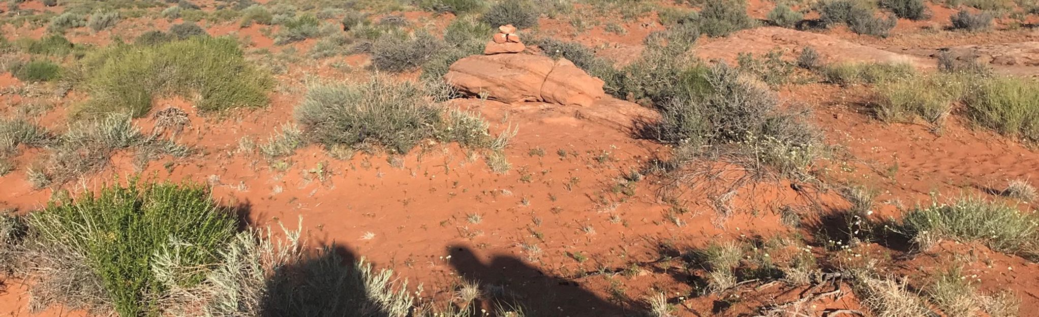 Coyote Gulch, Crack-in-the-Wall to Jacob Hamblin Arch - Utah | AllTrails