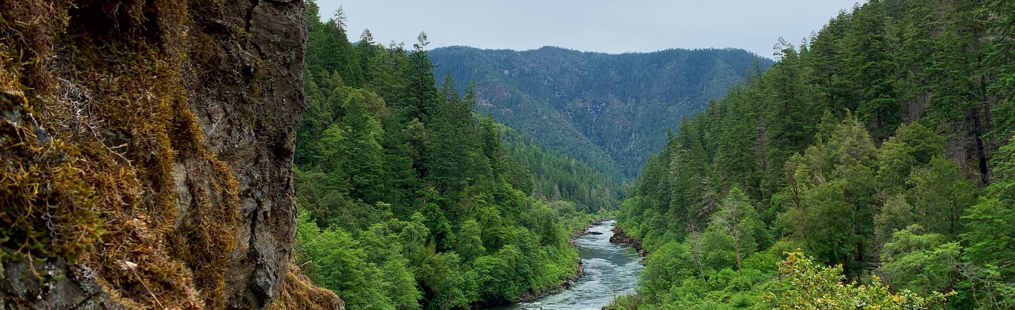 Explore Rogue River Trail AllTrails - EyJidWNrZXQiOiJhc3NldHMuYWxsdHJhaWxzLmNvbSIsImtleSI6InVwbG9hZHMvcGhvdG8vaW1hZ2UvMjI3MTY5MzUvNmNmOGJkYjFkOGZjYzIzZGRhNjI0NGM4MDgyMzcyMTUuanBnIiwiZWRpdHMiOnsidG9Gb3JtYXQiOiJqcGVnIiwicmVzaXplIjp7IndpZHRoIjoyMDQ0LCJoZWlnaHQiOjYyNCwiZml0IjoiY292ZXIifSwicm90YXRlIjpudWxsLCJqcGVnIjp7InRyZWxsaXNRdWFudGlzYXRpb24iOnRydWUsIm92ZXJzaG9vdERlcmluZ2luZyI6dHJ1ZSwib3B0aW1pc2VTY2FucyI6dHJ1ZSwicXVhbnRpc2F0aW9uVGFibGUiOjN9fX0=