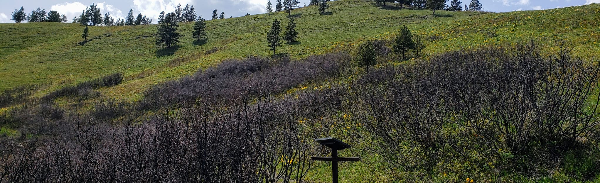 Bear Paw Nature Trail 7 Reviews, Map Montana AllTrails