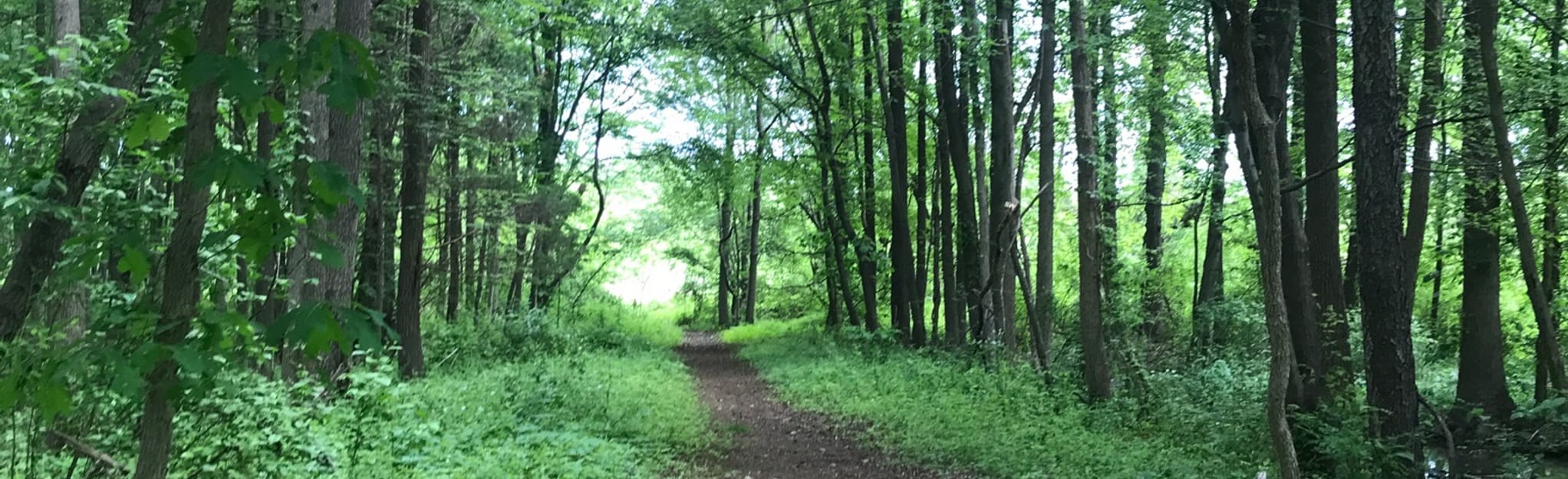 Tranquility Trails, High Hill Park, and Locke Ave Park Loop, New Jersey