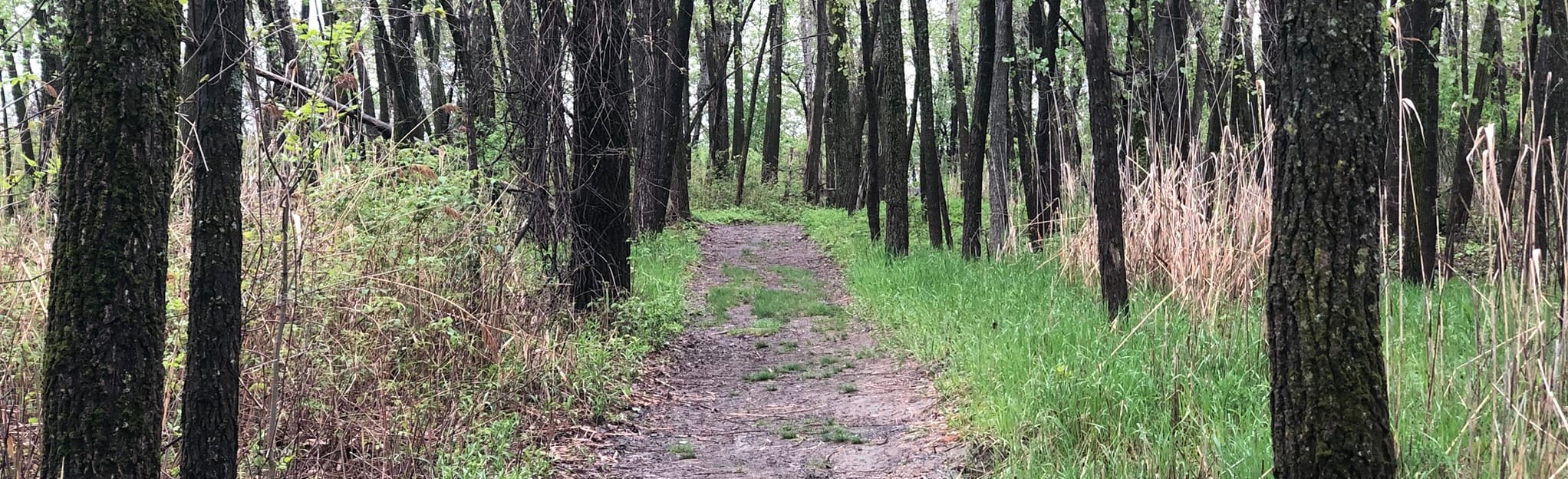 Grande Riviere Trail Map, Guide Quebec, Canada AllTrails