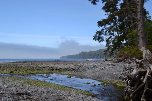 10 Best Trails and Hikes in Port Renfrew | AllTrails