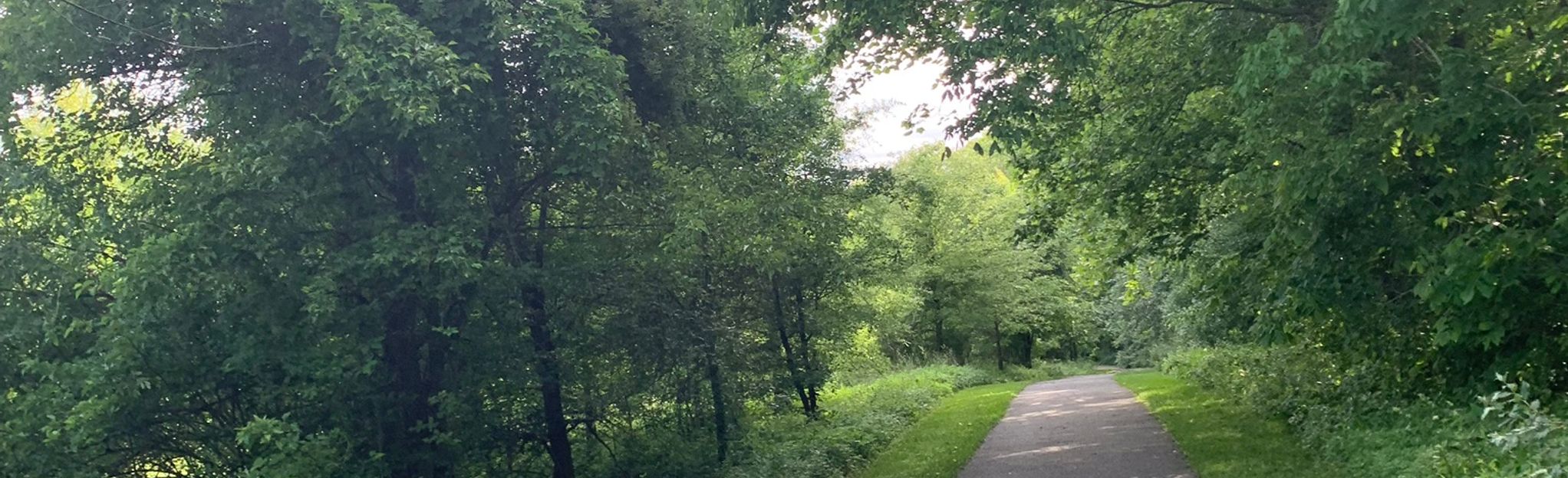 Davidsonville Park Loop, Maryland 292 Reviews, Map AllTrails