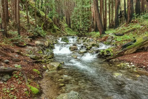 Limekiln state park outlet hiking