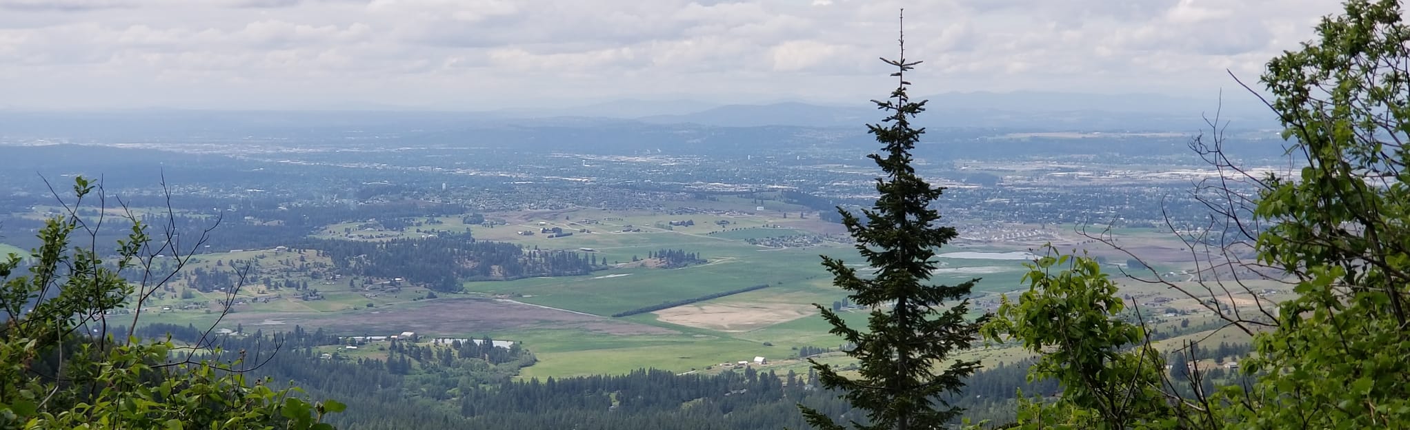 Mica Peak: 243 Reviews, Map - Washington | AllTrails