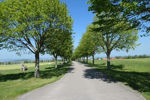 Heidenau - Possendorf - Lerchenberg - Rundweg